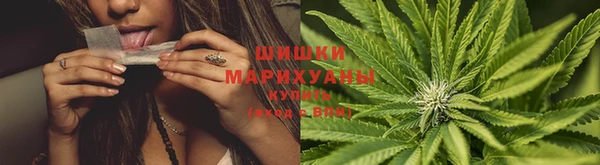 стафф Ступино