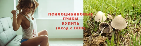 стафф Ступино